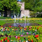 Blumenhof am Deutschen Eck