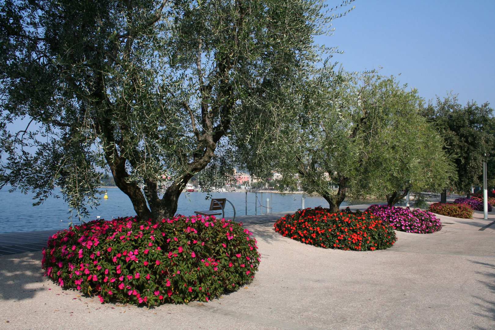 Blumeninsel Foto & Bild landschaft, lebensräume, natur Bilder auf
