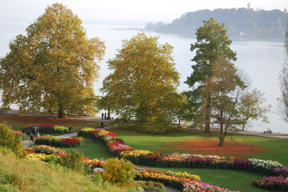 Blumeninsel im Bodensee zur Dahlien-Show