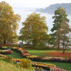 Blumeninsel im Bodensee zur Dahlien-Show