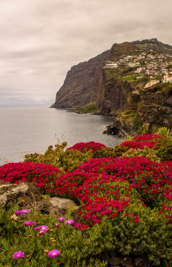 Blumeninsel Madeira