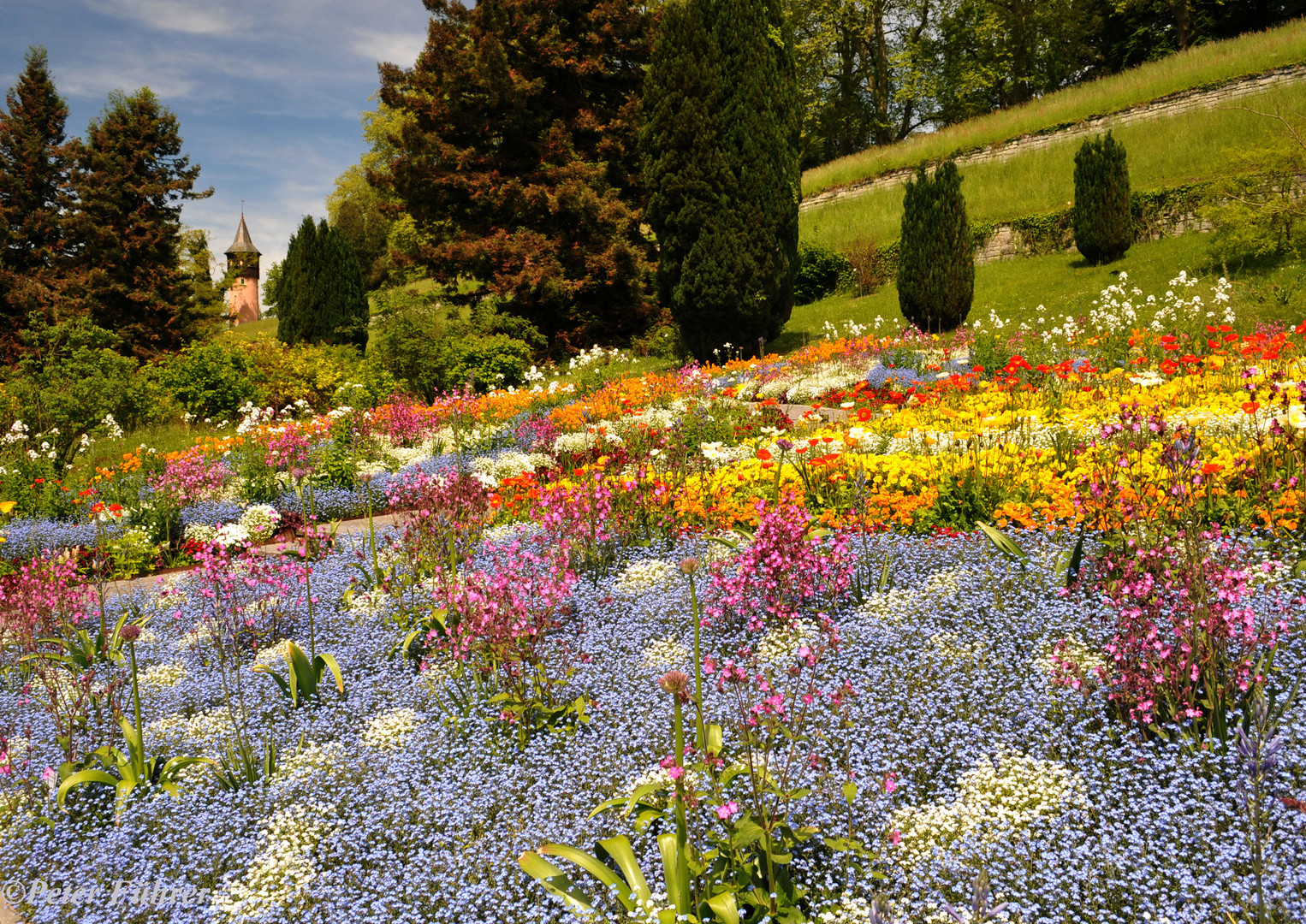 Blumeninsel Mainau