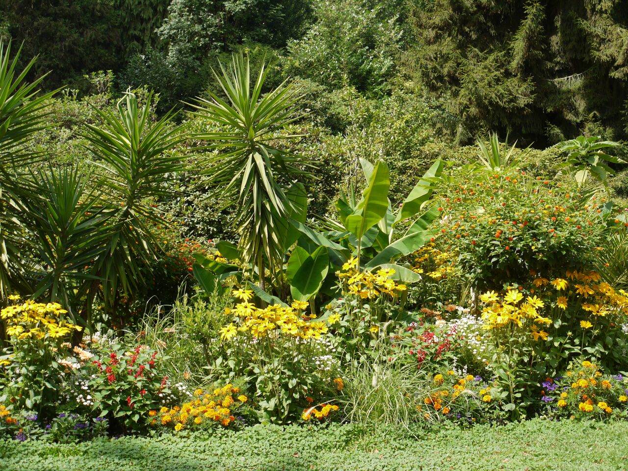 blumeninsel mainau 2014