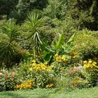 blumeninsel mainau 2014