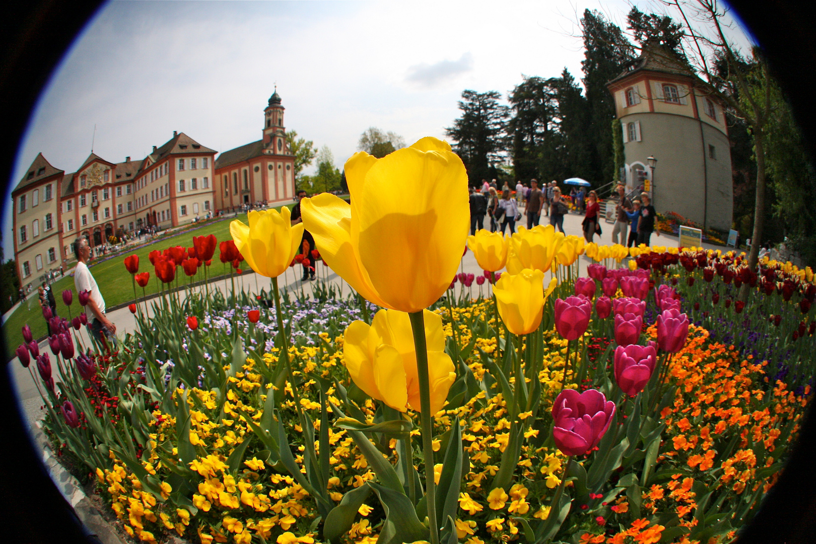 Blumeninsel Mainau