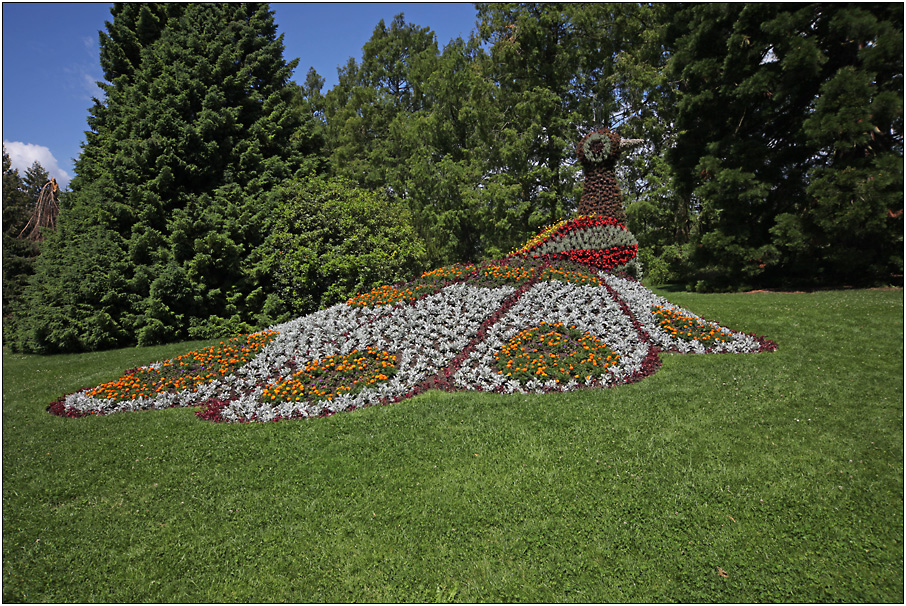 Blumeninsel Mainau (8)