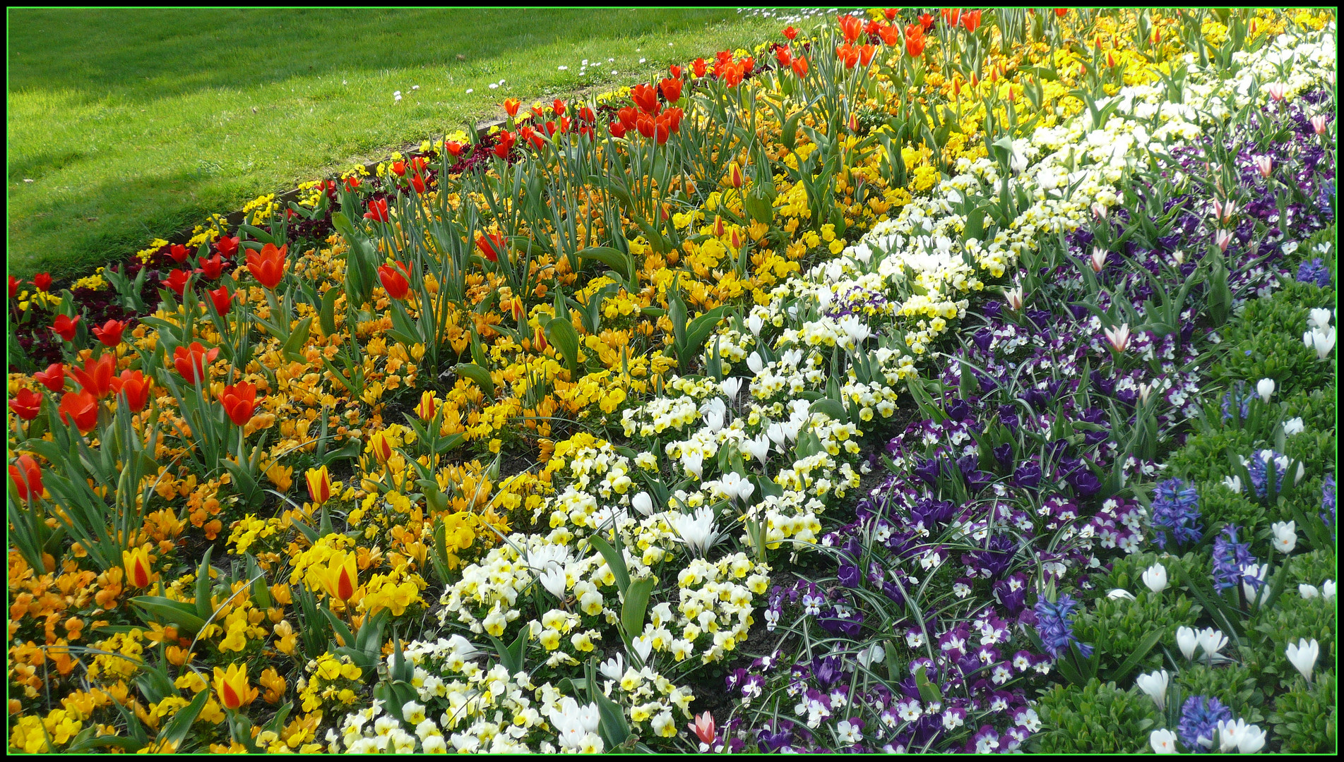 Blumeninsel Mainau, ( Bodensee )