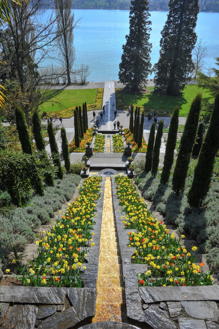 Blumeninsel Mainau - Bodensee