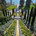 Blumeninsel Mainau - Bodensee