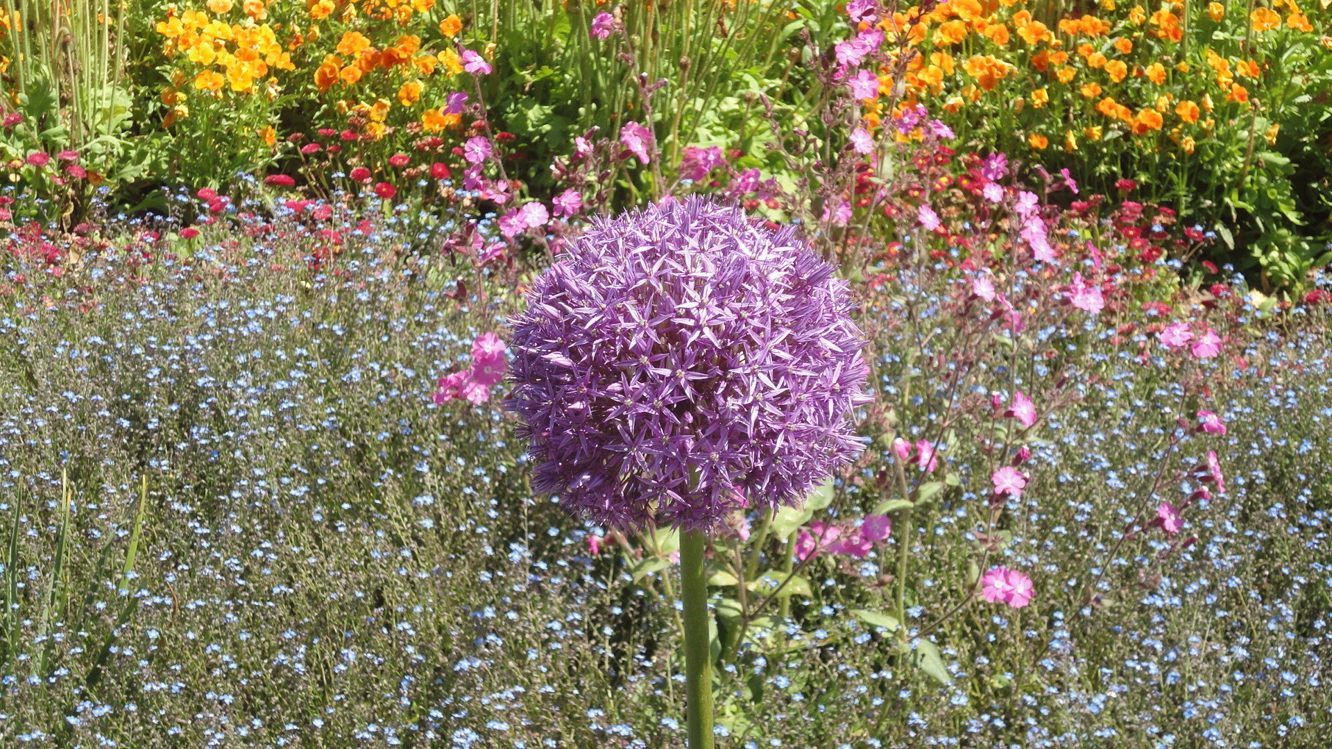 blumeninsel mainau