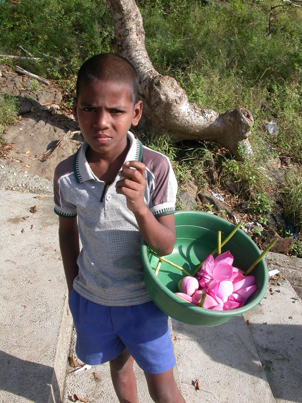 Blumenjunge in Sri Lanka