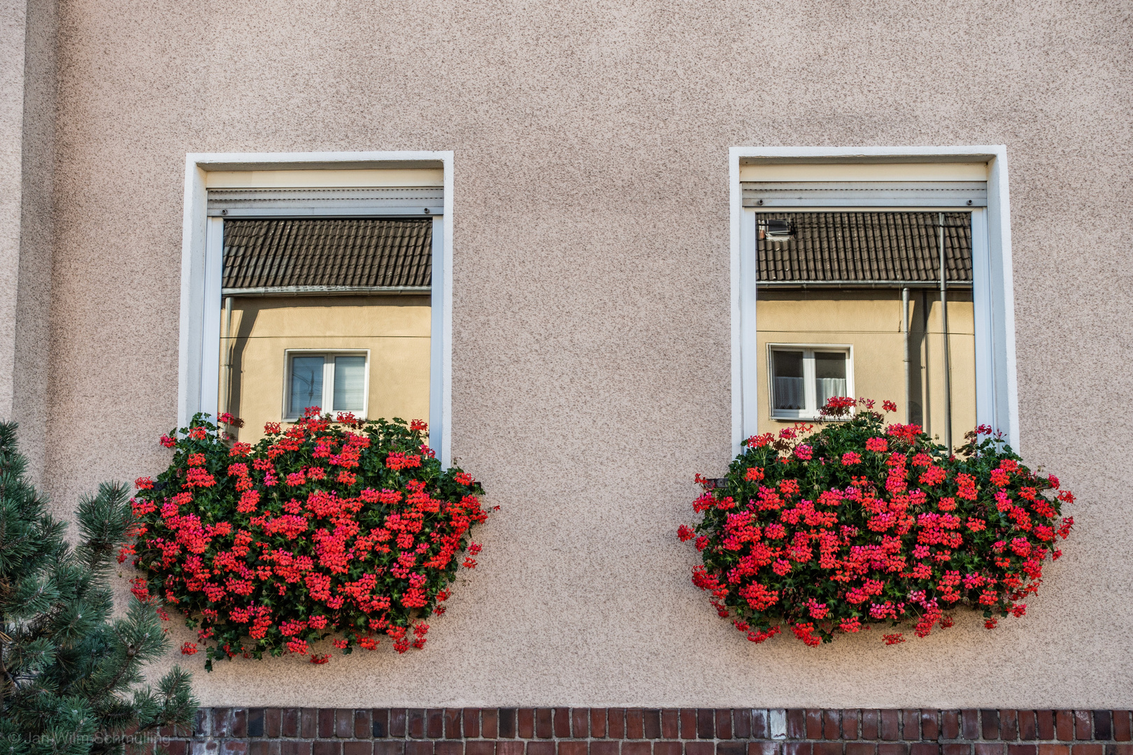 Blumenkästen Ruhrgebiet