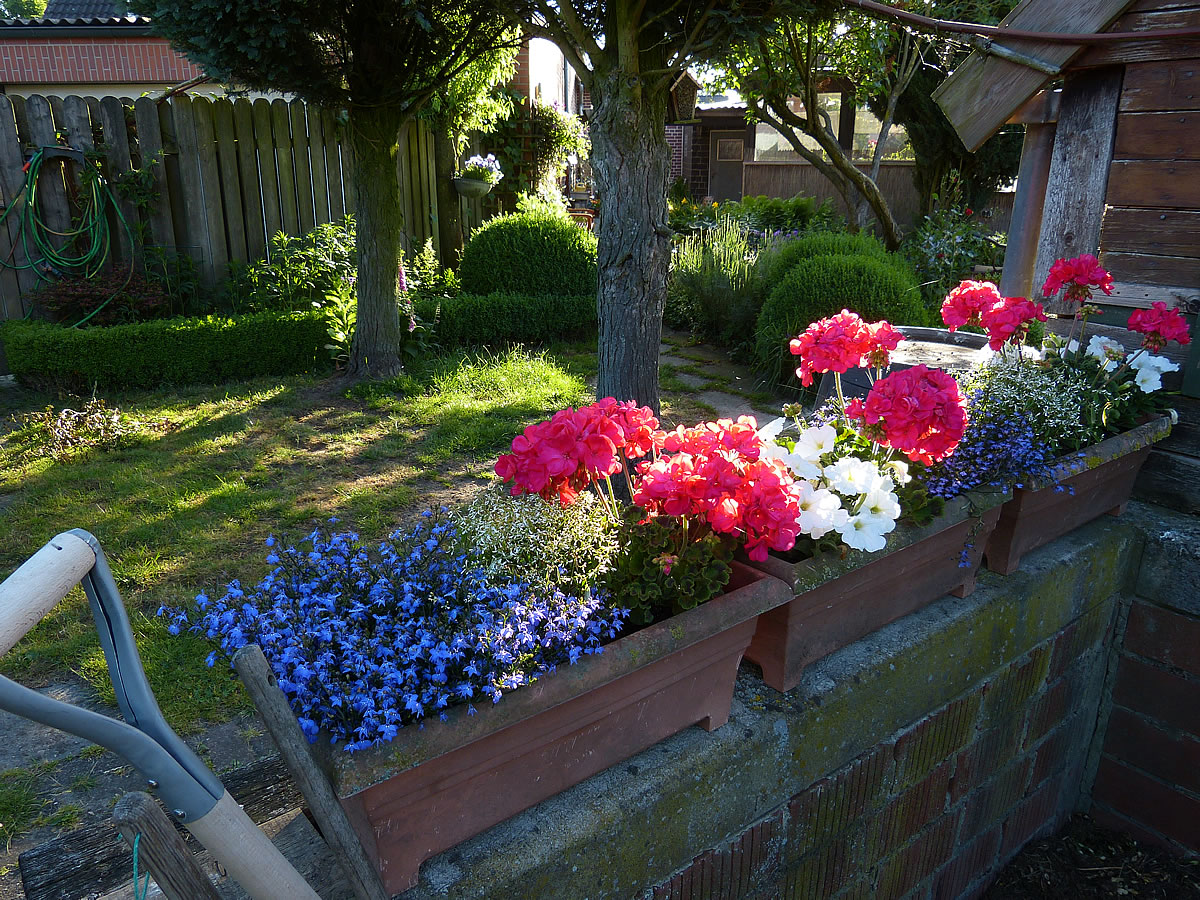 Blumenkasten am Kompost