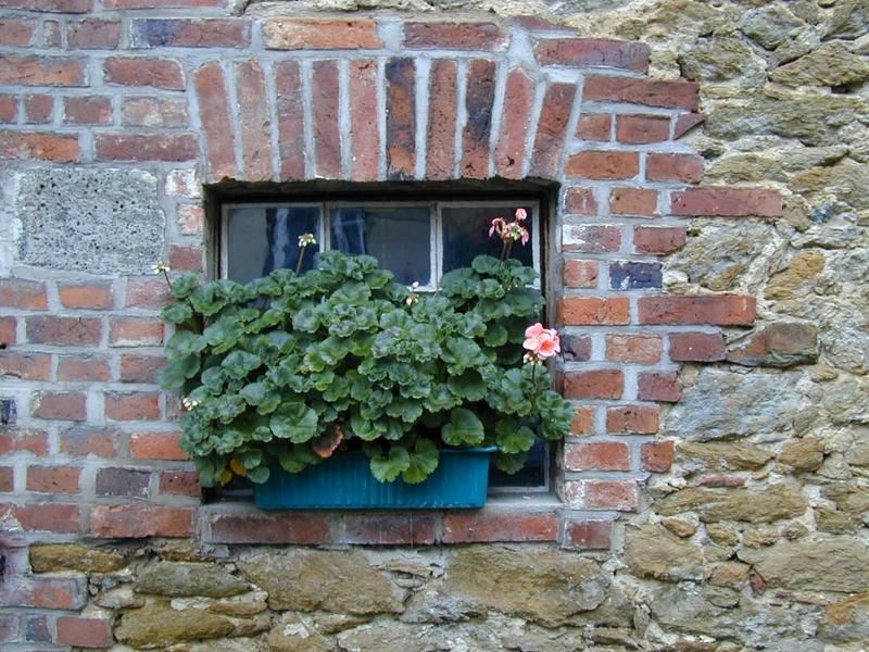 Blumenkasten auf der Fensterbank