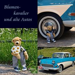 Blumenkavalier und alte Autos