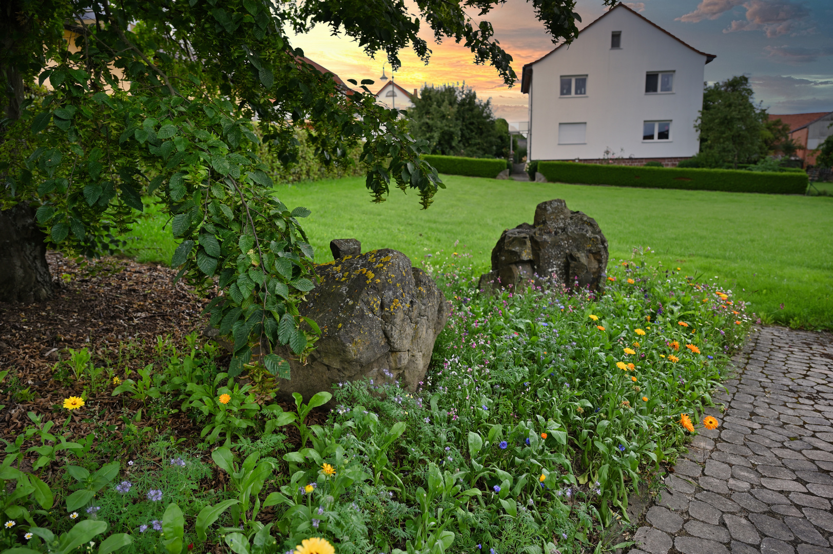 Blumen_Kirchenwiese