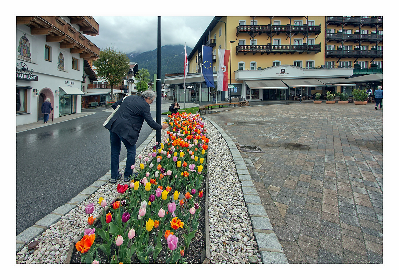 blumenknipser in seefeld