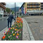 blumenknipser in seefeld