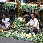 Blumenkohl