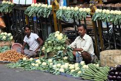 Blumenkohl