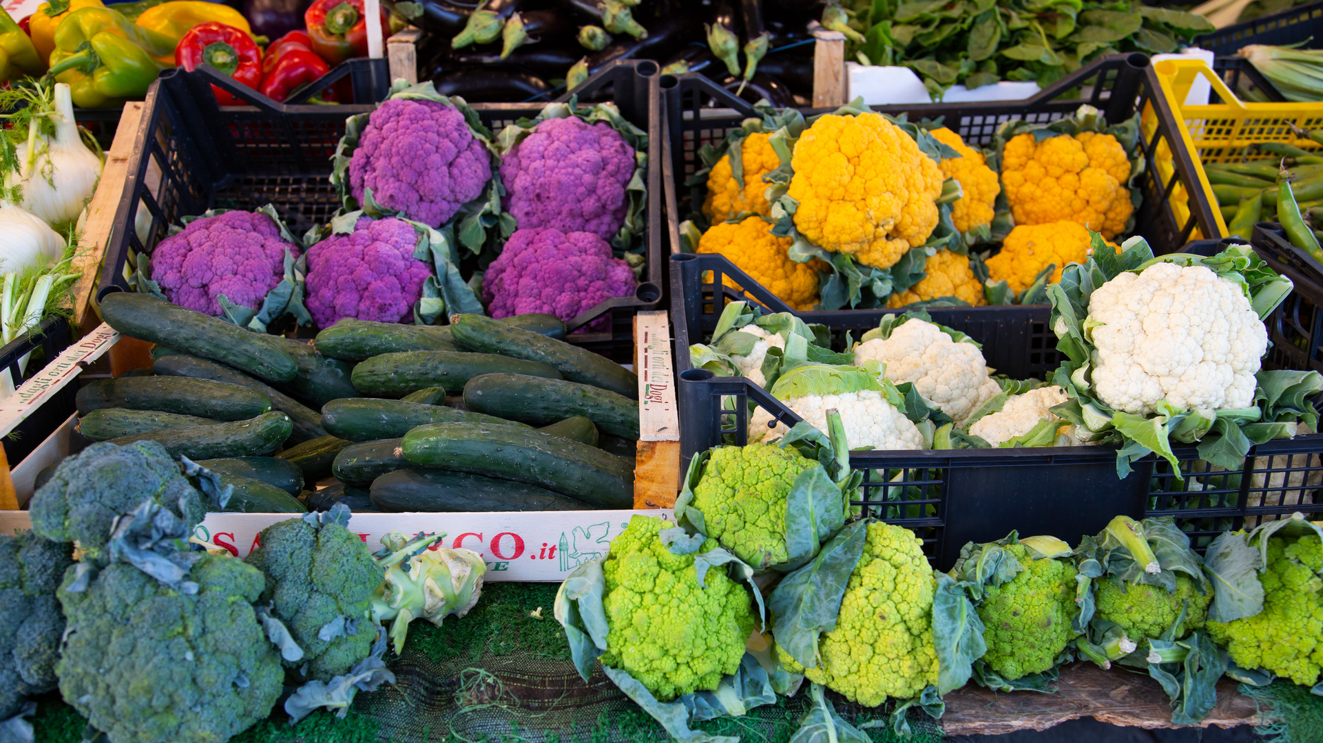 Blumenkohl-Farben in Venedig