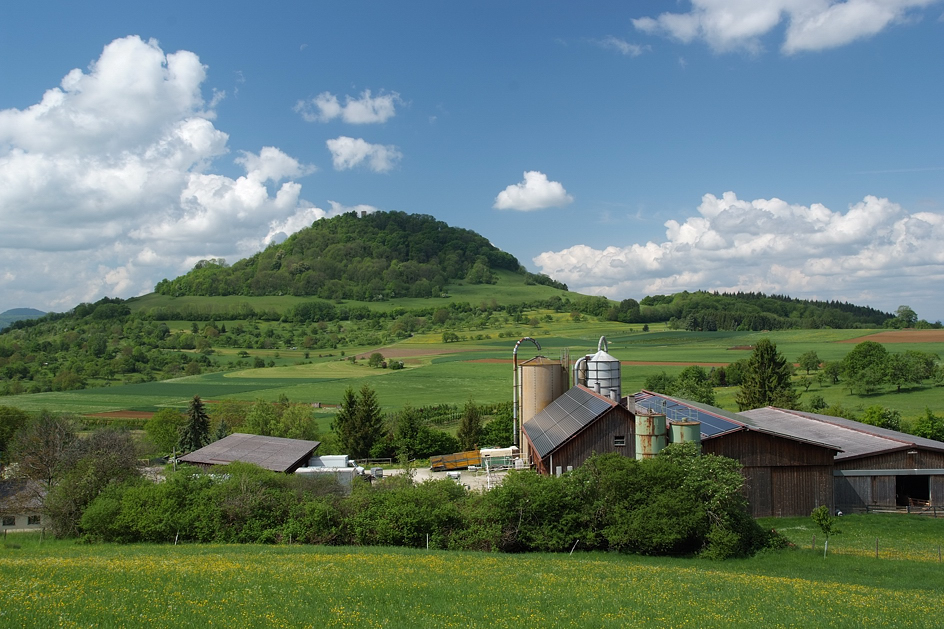 Blumenkohlwolken