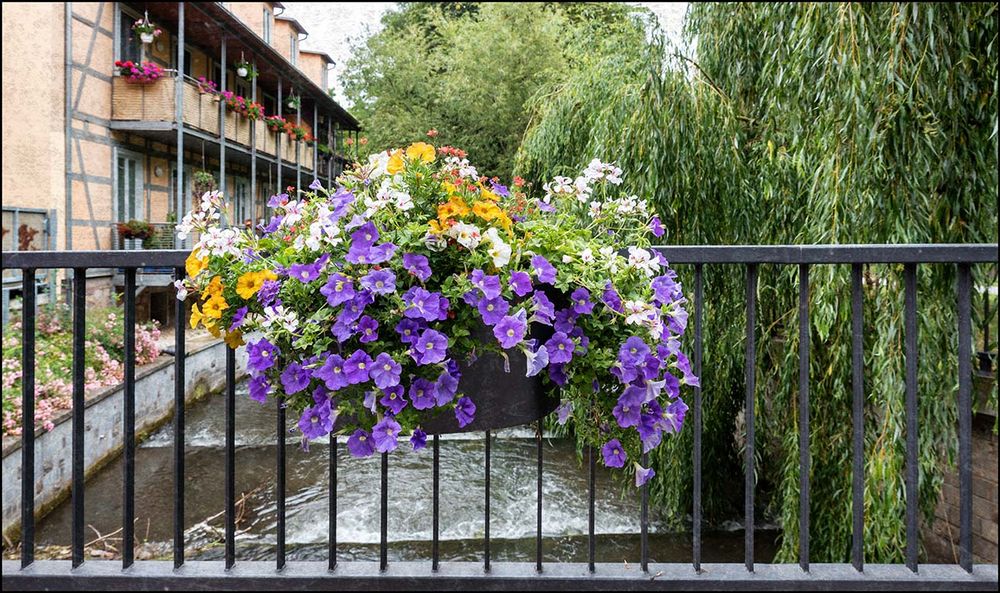 Blumenkorb
