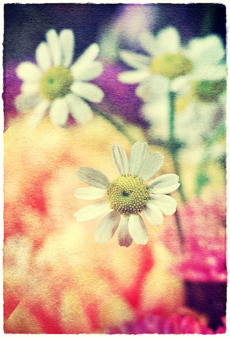 Blumenkraft