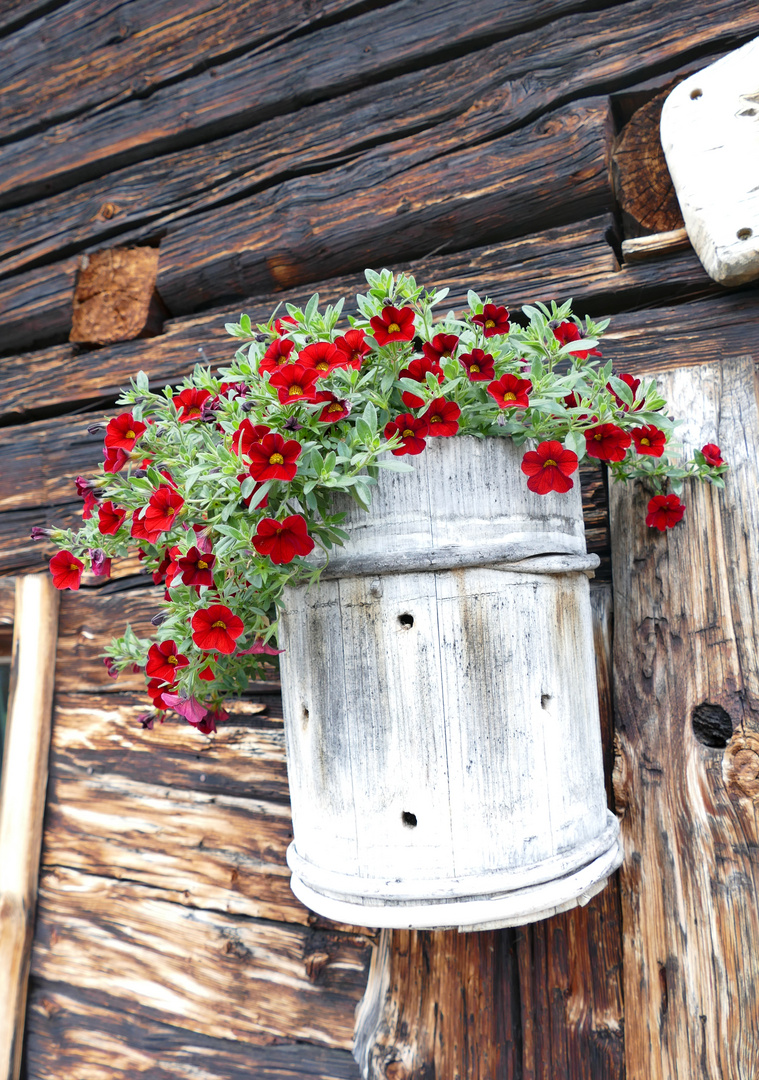 "Blumenkübel auf der Unterwandalm in Großarl"