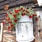 "Blumenkübel auf der Unterwandalm in Großarl"