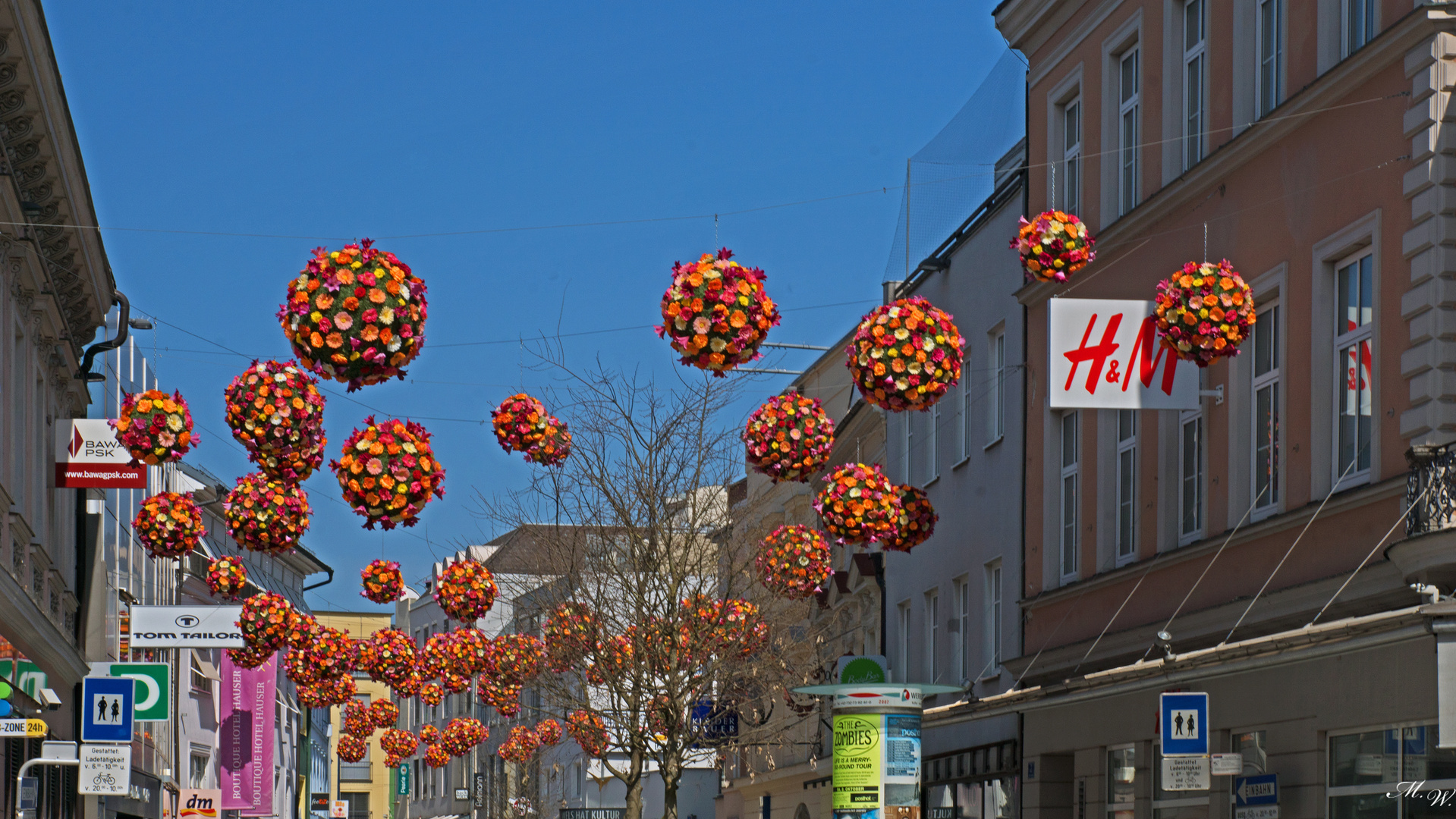 Blumenkugeln Himmel 