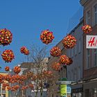 Blumenkugeln Himmel 