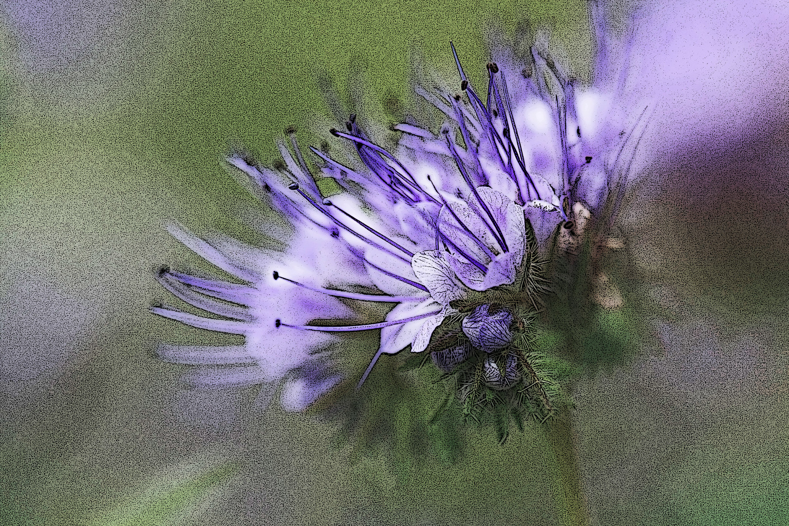 Blumenkunst