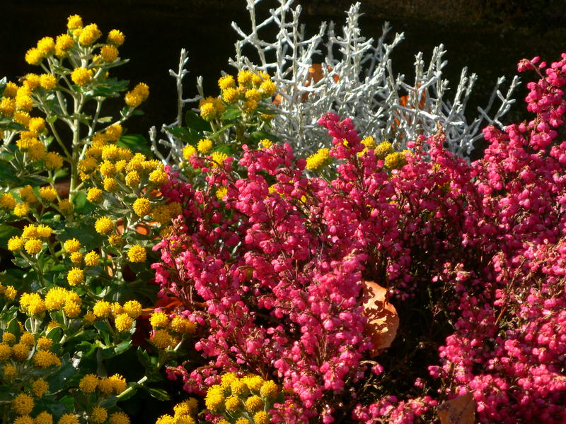 blumenkunst am Johannisfriedhof