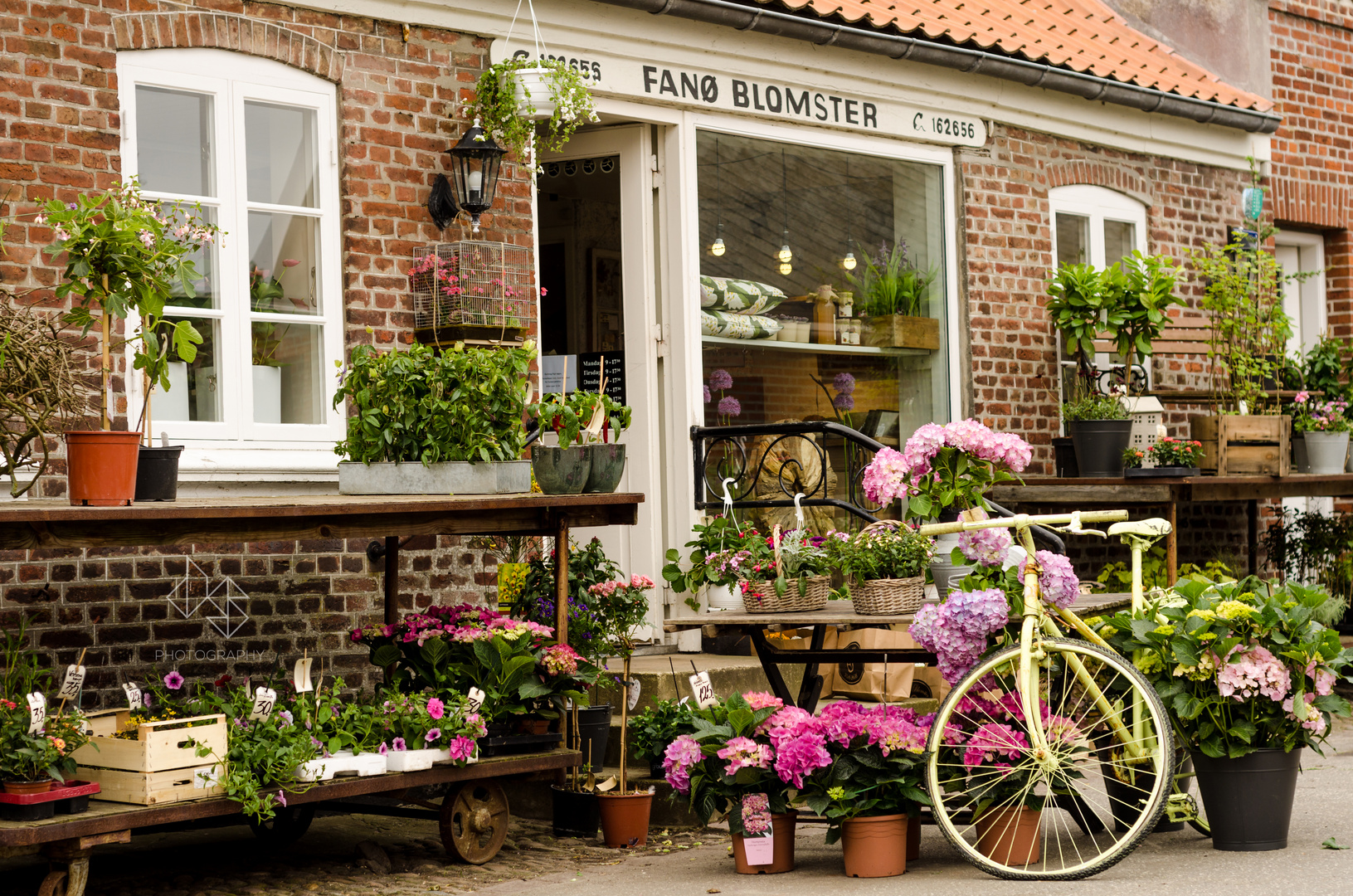 Blumenladen auf Fanoe Foto & Bild blumen, stadt, dänemark Bilder auf