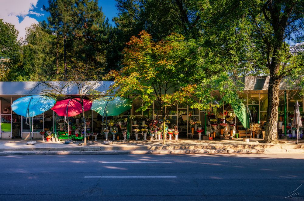 Blumenladen in Chisinau