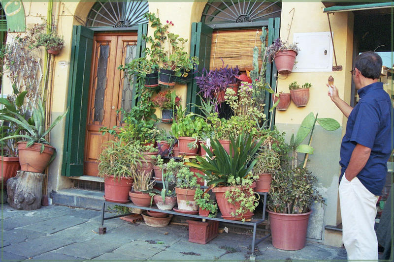 Blumenladen in Lucca