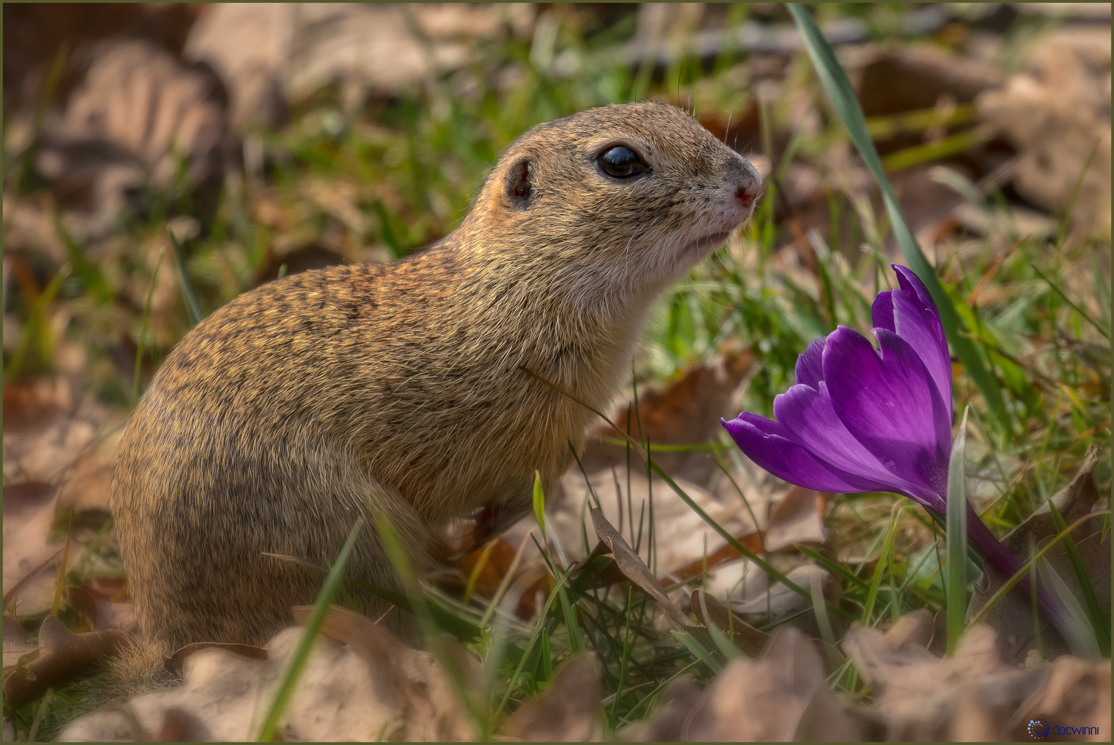 Blumenliebhaber