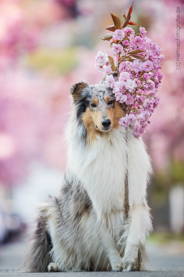 Blumenmädchen