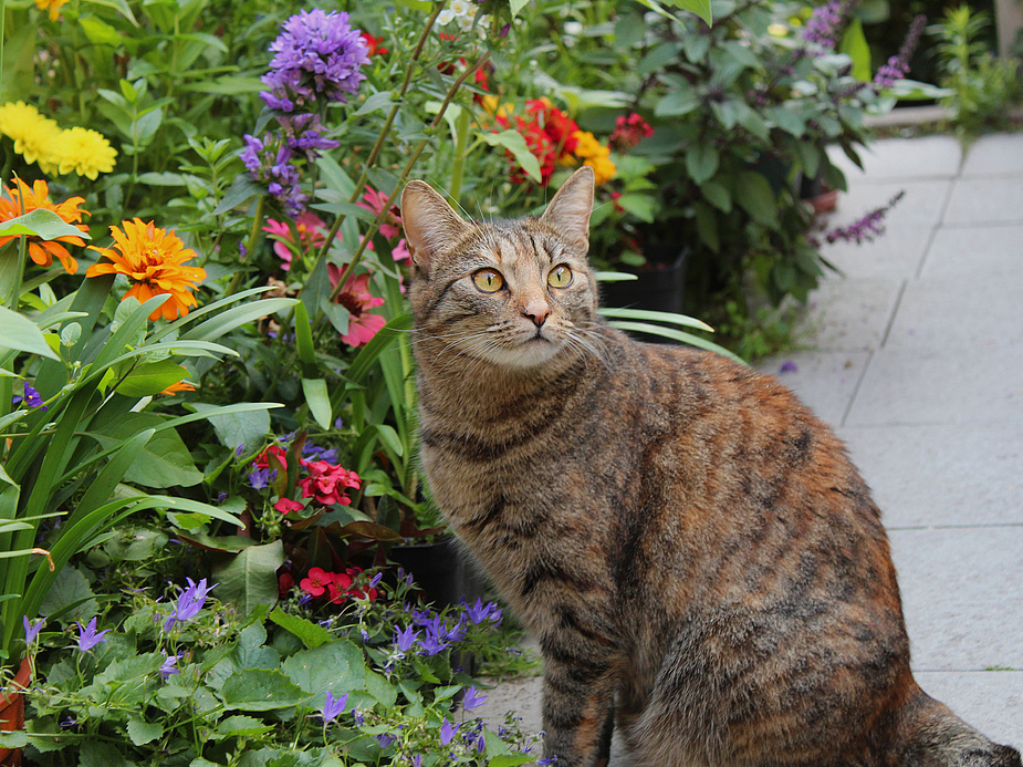 Blumenmädchen Lena