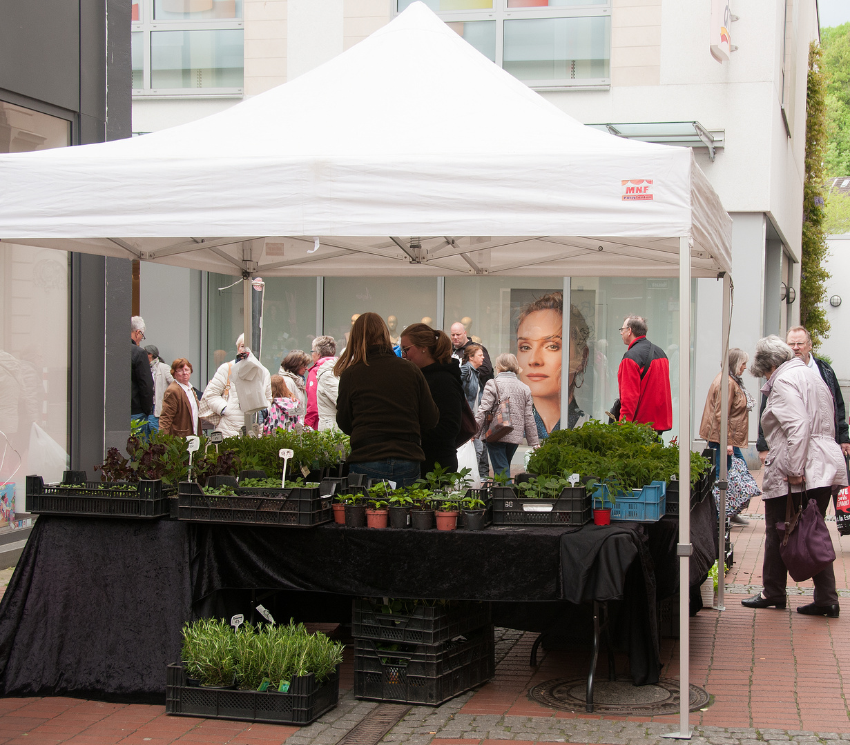 Blumenmarkt 1