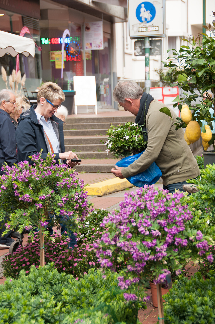 Blumenmarkt 4