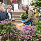 Blumenmarkt 4