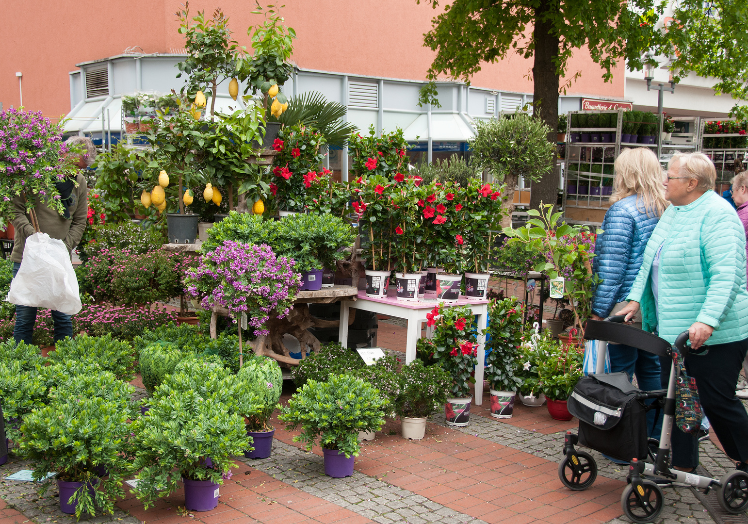 Blumenmarkt 5