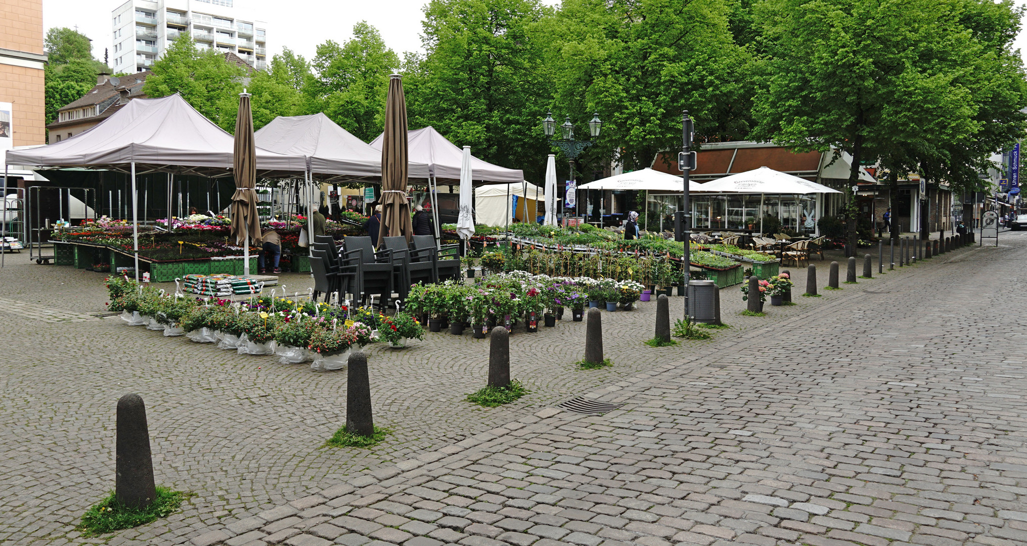Blumenmarkt an der Laurentiuskirche