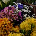 Blumenmarkt auf Madeira