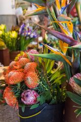 Blumenmarkt Funchal