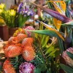 Blumenmarkt Funchal