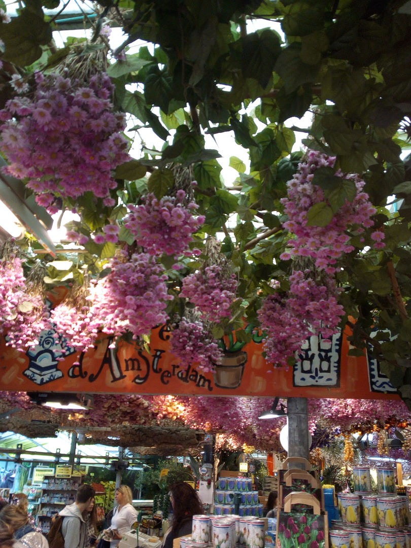 Blumenmarkt in Amsterdam