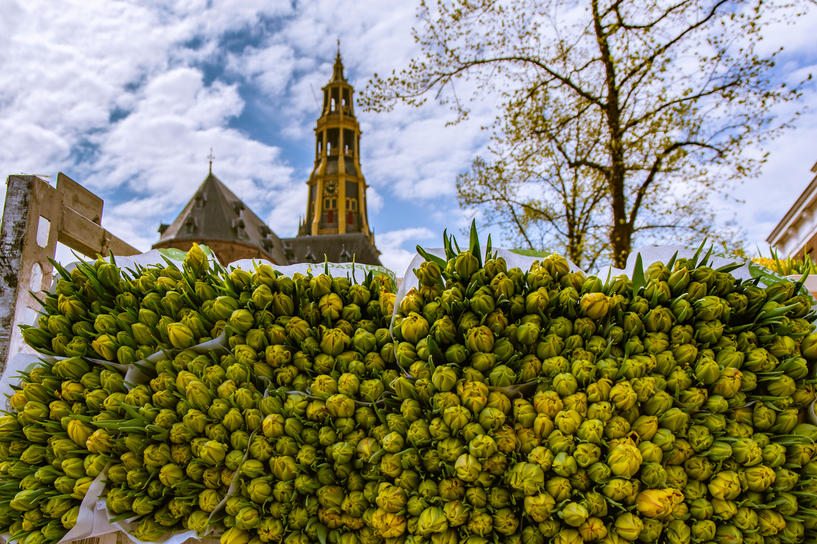 Blumenmarkt in Groningen